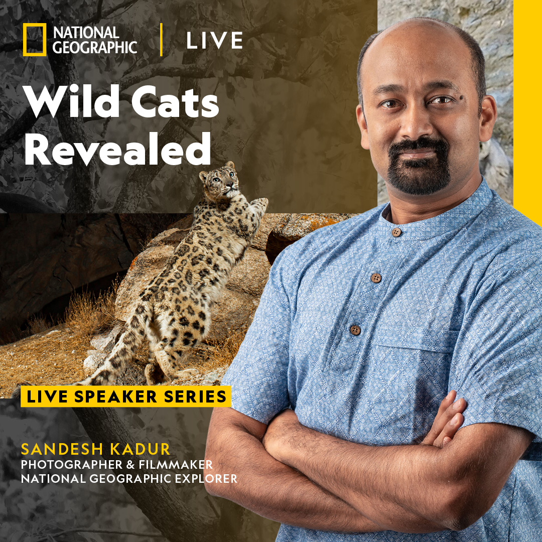 National Geographic Live: Wild Cats Revealed with Sandesh Kadur
